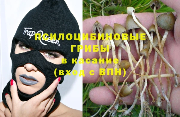 гидропоника Вязники
