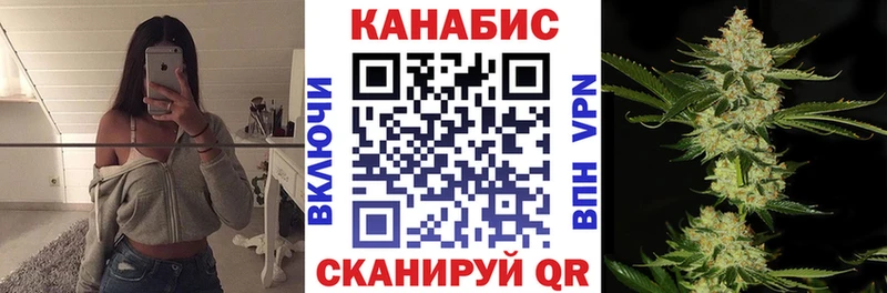 Купить где  Бавлы  Бошки Шишки семена 